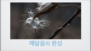 깨달음의 완성