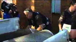 Five arrested in drug raids