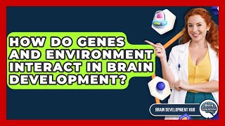 How Do Genes And Environment Interact In Brain Development? - Brain Development Hub