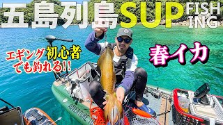 SUPから春イカ連発！エギング初心者でもがキロアップが釣れる魅惑の五島列島！！