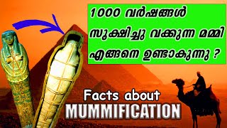 MUMMY എങ്ങനെ ഉണ്ടാകുന്നു? | 2000 വർഷങ്ങൾ എങ്ങനെ മമ്മി സൂക്ഷിക്കുന്നു | Facts about Mummification |