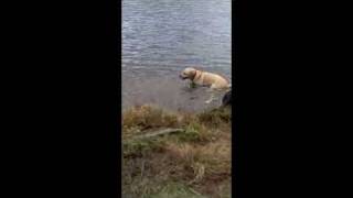 Strathyre - Loch Lubnaig