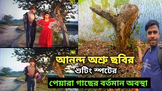 সালমান শাহ, র আনন্দ অশ্রু |  ছবির শুটিং স্পট | পেয়ারা গাছ | Anondo osru movie shooting sport |