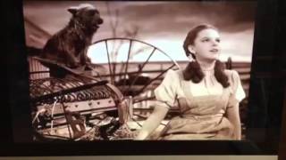 Dorothy's journey in oz