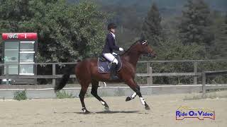 175S Shayna Silcox on Hawk Action SR Novice Show Jumping Woodside August 2018