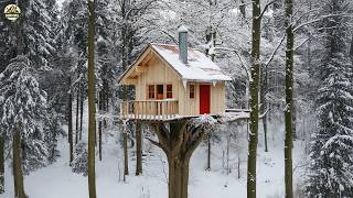 He Transformed an Ancient Tree Into the ULTIMATE Treehouse