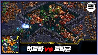 히드라 vs 드라군이었던 유즈맵【히드라 vs 드라군】