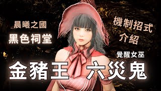 【黑色沙漠】《金豬王》 六災鬼難度 機制招式介紹 | 覺醒女巫 | Black Desert BDO