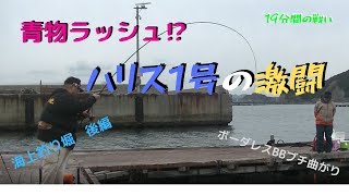 #121【海上釣堀後編】青物ラッシュ！？ハリス1号の激闘