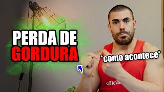 Como acontece a perda de gordura