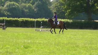 18.06.17 Storm, Parwood XC schooling