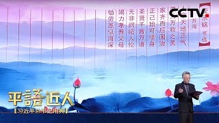 [ 平“语”近人 ] 朱卫东诵读《安乐铭》节选 | CCTV