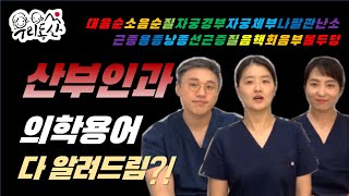 [sub]산부인과 의사와 대화하는 게 두렵지 않다. 산부인과 용어의 모든 것!! (근종, 용종, 낭종, 선근증, 나팔관, 난소, 자궁경부, 자궁체부)