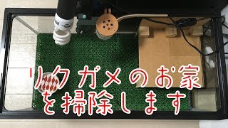 飼育設備の掃除【ロシアリクガメのポピー】