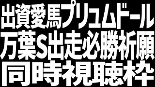 万葉ステークスに出資愛馬が出走するので応援同時視聴枠【雑談しながら】