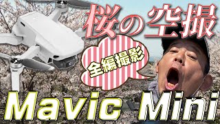 【ドローン/空撮】全編mavic miniで撮影　さくら　桜　sakura　（近所の）（笑）