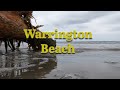 Warrington Beach Walk | Dunedin New Zealand | 4K