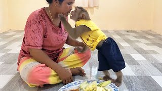 Handsome Jason Adorable Curious Eating Young Mango For The First Time With Mom