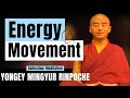 Energy Movement | Feeling Something When You Meditate? - Yongey Mingyur Rinpoche | LSE'18【C:M Ep.10】