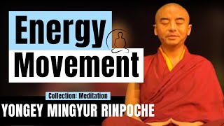Energy Movement | Feeling Something When You Meditate? - Yongey Mingyur Rinpoche | LSE'18【C:M Ep.10】