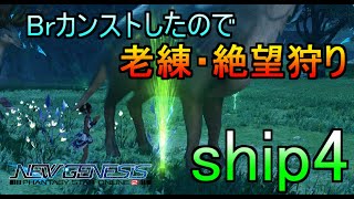 【PSO2NGS】疲れるまで配信　シップ４　もうすでに次のアプデを待っている