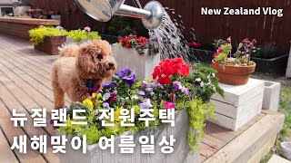 Sub) 뉴질랜드 여름일상/여름 가드닝/열무김치국수/팥빙수 만들기/New Zealand Vlog/뉴질랜드 주부 브이로그/살림브이로그/뉴질랜드브이로그