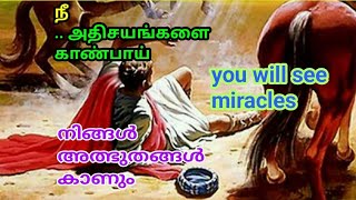 @thewordoflordjesus #thewordoflordjesus #நீ அதிசயங்களை காண்பாய்....