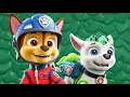 PAW Patrol Ryder Call for help Rubble, Skye vs rocky marshall! PAW Patrol Episodes | Papup Cartoon