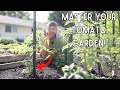 You Would Be CRAZY to Not Trellis Tomatoes Like THIS - HUGE Yields and HEALTHY Plants!