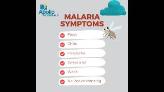 Malaria Symptoms