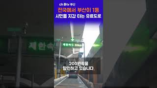 전국에서 부산이 1등 시민들 지갑 터는 유료도로 #shrots