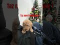 introducing…..zoey christmas merrychristmas music goldendoodle shortsvideo