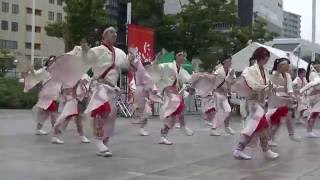 にいがた総おどり　2016/9/18　花香風（はなかぜ）　新潟駅南口広場メイン会場