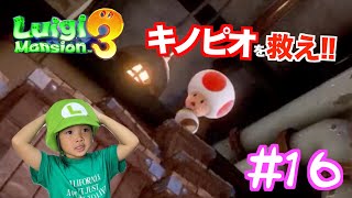 こっちゃんのゲーム実況！！ルイージマンション3！キノピオを助けろ！！オバキュームが進化〜！！#16 Sunny Side Channel