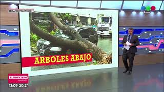 Destrozos por la tormenta - Telefe Rosario