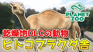 【Planet Zoo】乾燥地DLCが配信開始！ヒトコブラクダを砂漠エリアで飼育しよう！【プラネットズーで動物園を作ろう！#37】【プラネット ズー】【Arid Animal Pack】