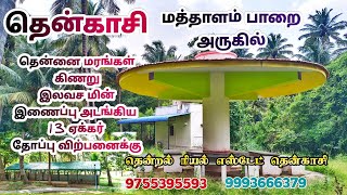 #தென்காசி || அம்பை மெயின்ரோட்டின் அருகில் || 13 ஏக்கர் தென்னந்தோப்பு  விற்பனைக்கு 📞9755395593