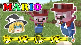 【マイクラ】マリオがウーパールーパーに！？様々なウーパールーパーを追加するMODがヤバすぎた！ゆっくり達のマインクラフト【Minecraft】