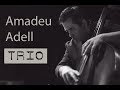 Concierto Amadeu 18/01/18