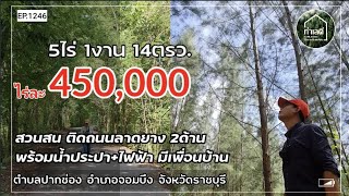 Ep.1246 สวนสน ติดถนนลาดยาง 2 ด้านไร่ละ 450,000บ.5 ไร่ 1งาน 14 ตรว. ต.ปากช่อง อ.จอมบึง ราชบุรี