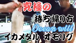 【オモリグ・イカメタル入門 】プロが語るイカ釣り理論😁✨✨墨抜きしてもらって最高の状態でお持ち帰り オーシャンウイル