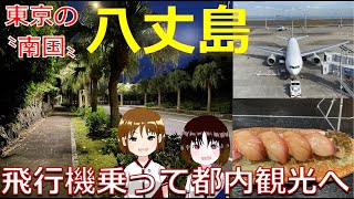 【八丈島へ】飛行機で都内観光の旅へ　〜東京の〝南国〟へはANAでひとっ飛び〜　1時間もかからず“洋上の都内〟へ安全に行けることを本当に感謝いたします。