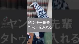 学に差が出るヤンキー先輩 #shorts