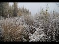 Early snow hits China's Mohe| CCTV English