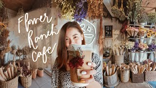 Visiting Flower Ranch Cafe🌸✨ (Flower shop + Cafe☕️) Philippines🇵🇭