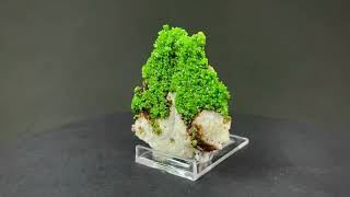 Pyromorphite with Quartz from Des Farges Mine, Nouvelle Aquitaine, France