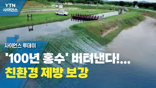 '100년 홍수' 버텨낸다!...가공할 내구성의 친환경 제방 보강 / YTN 사이언스