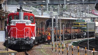 【4K】EF81-113牽引「敦賀・今庄・芦原温泉工臨」@京都・近江今津・敦賀