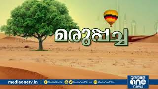 രണ്ടാം ഖലീഫ ഉമർ (റ) നിർമിച്ച ലോകത്തിലെ ആദ്യത്തെ മിനാരം ഉള്ള പള്ളി കണ്ടിട്ടുണ്ടോ? 😍