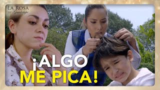 Miguelito está piojoso por culpa de la fodonga de su madrastra | LA CANCIÓN DE LAS ROSAS 2/4| LRDG